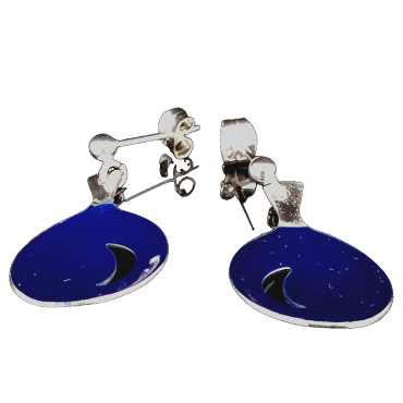 Polarnatt örhängen