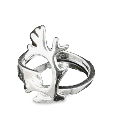 Renhorn ring tjoarvve