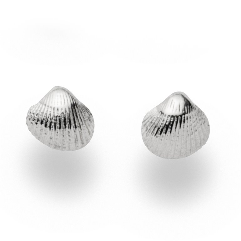 Ohrstecker "Muschel" Ohrstecker "Muschel"