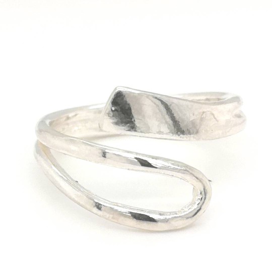 Silver ring silverhåv
